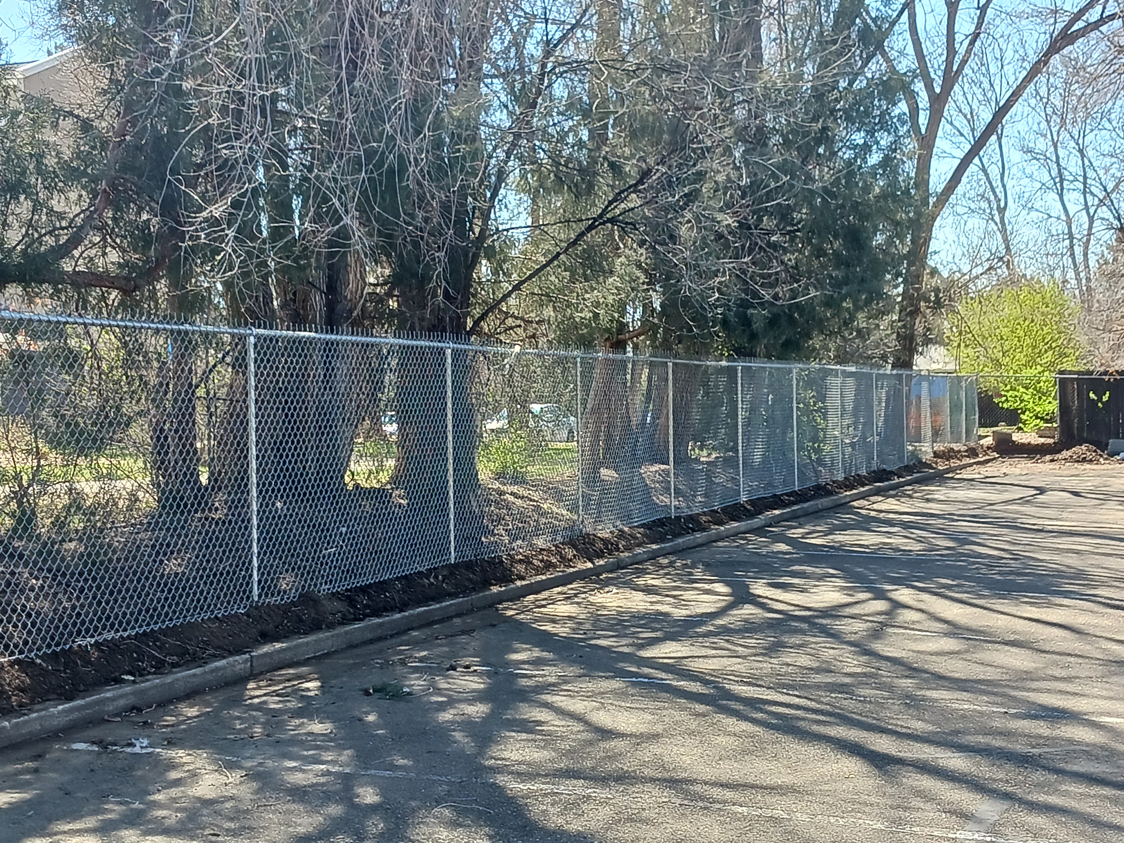 Cedar Fencing